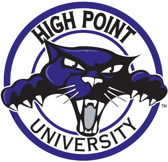 High Point Panthers 2004-2011 Alternate Logo v3 iron on transfers for fabric